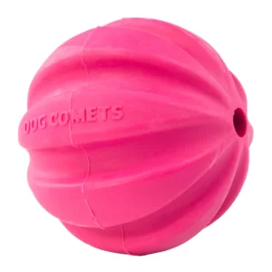 Dog Comets Halley Roze
