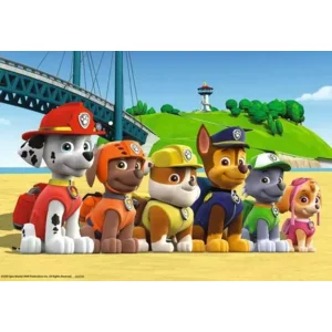 Puzzel - Paw patrol - Dappere honden - 2x24st.