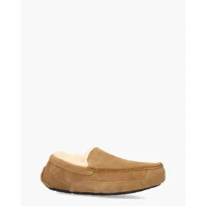 Ugg Ascot Bruin Herenpantoffels