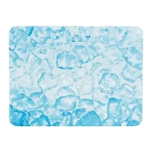 TRIXIE KOELPLAAT KONIJN BLAUW 35X25 CM