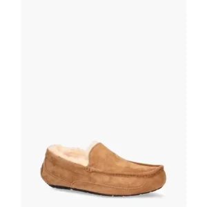 Ugg Ascot Bruin Herenpantoffels