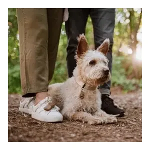 Tickless Eco Mens Bruin