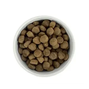 Budget Premium Lamb & Mobility 1 kg