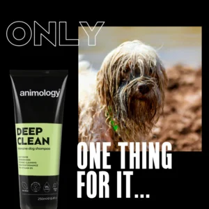 Animology Deep Clean Intensive Dog Shampoo 250 ml