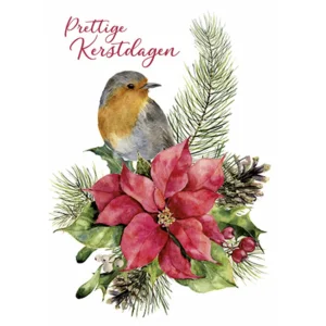 Kaarten - Kerst - Hangpak - Roodborstje op kerstster - 10st. - HPK.1006