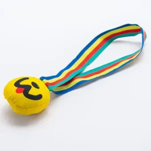 hondenspeeltje medaille