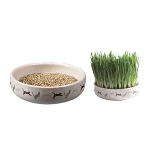 TRIXIE KATTENGRASZAAD 50GR IN KERAMIEK 15X15X4 CM