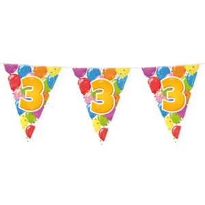 Vlaggenlijn - 3 jaar - Feest - 10m