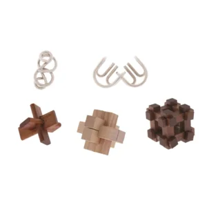GREAT MINDS SET OF 5 PUZZLE