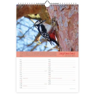 Maand kalender - 2026 - Vogels - Birds - 23,5x33,5cm