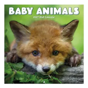 Kalender - Baby animals - 2027 - 30x30cm