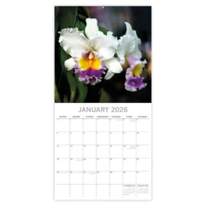 Kalender - 2026 - Orchids - 30x30cm