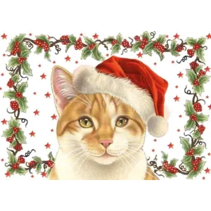 Kaart - Kerst - JBS - Kat met kerstmuts - KSF049