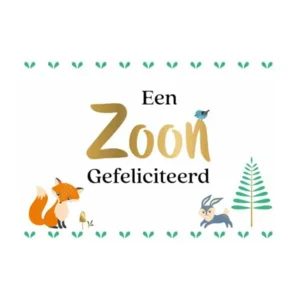 Kaart - Daisy - Een zoon, gefeliciteerd - DSY002-A