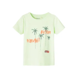 Name it Jongens Kinderkleding Groene Tshirt Frankie Lime Cream