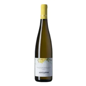 Montecappone Verdicchio dei Castelli di Jesi Classico (per 6 flessen)