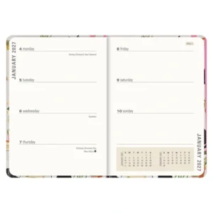 Agenda - 2027 - Compact - 16 maanden - Knappe katten - 12,7x17,8cm