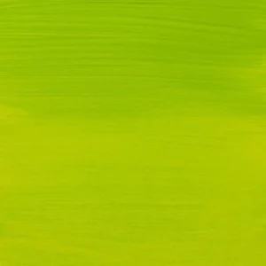 Acrylverf - 617 - Geel groen - Amsterdam - 20ml