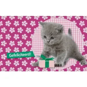 Leuke kaartjes: Wenskaart: Gefeliciteerd! LK097