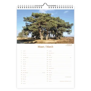 Maand kalender - 2024 - Holland - 23,5x33,5cm