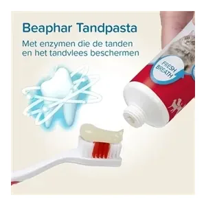 Beaphar Tandpasta En Borstel Combi-Pack