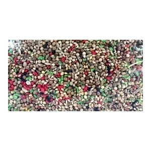 De Vries Tropisch Zaad 2,5 kg