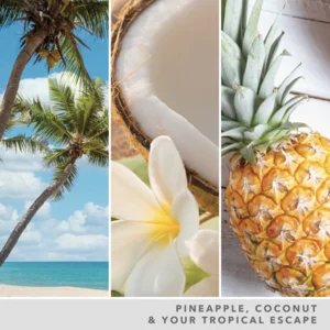 Coconut Beach - Wax Melt