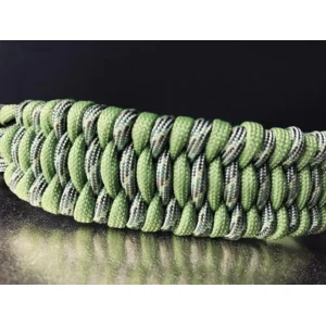 Hondenhalsband Trilobite Green 2