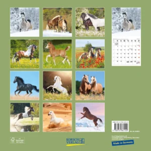 Kalender - 2023 - Horses - Paarden - 30x30cm