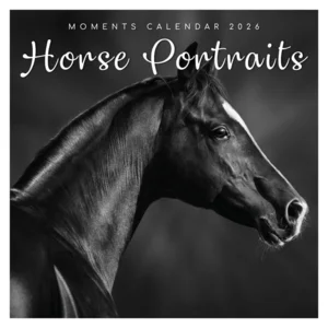 Kalender - 2026 - Horse portraits - 30x30cm