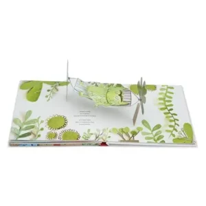 Boek - De kleur van emoties