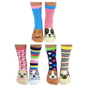 Damessokken Hond Pawsome Mismatched 6 stuks ineen cadeaudoos 37-42 Oddsocks