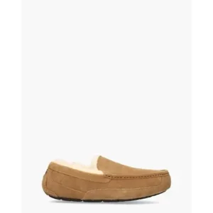 Ugg Ascot Bruin Herenpantoffels