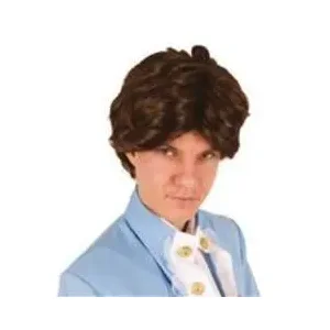 Pruik heer bruin