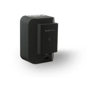 Bluesound BP 100 Battery Pack