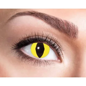 Eyecatcher Yellow Cat - 3-maandslenzen