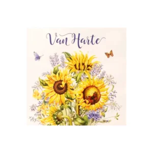 Kaart - JBS - Van harte - Klein - JBK043