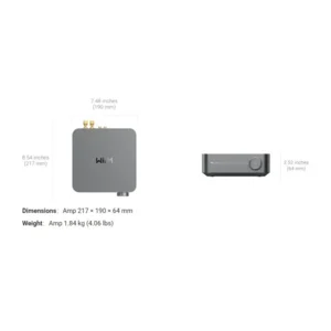Wiim Amp  space grey