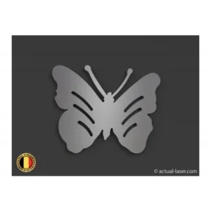Grafsteen vlinder 1