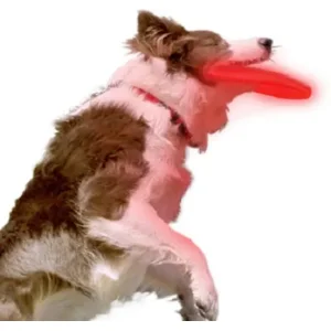 Nite Ize Nite Dawg Dog Discuit Light Vliegende Frisbee voor de hond Kleur Blauw met Rode Led verli NDD2-M1-R3
