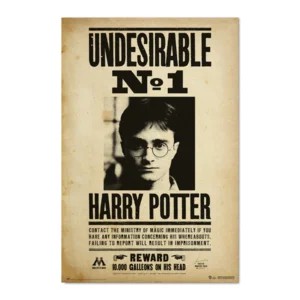 Poster Harry Potter