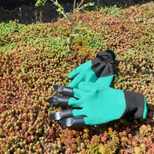 Onderhoudspakket: onderhoud voor je groendak doe-het-zelf, mooie groei bloemen groendak, mos bestrijden, onkruid verwijderen, sedummeststof, sedum meststof