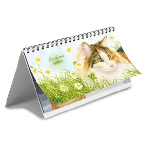 Kalender - Franciens katten - Desk - 2027