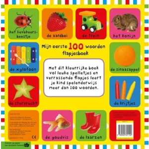 Boek - Flapjesboek - Mijn eerste 100 woorden