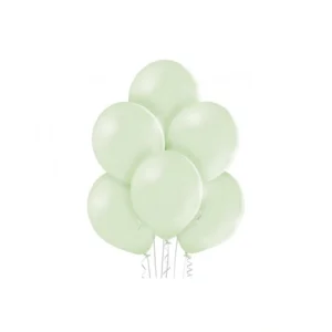 Ballonnen - Kiwi groen - 30cm - 100st.