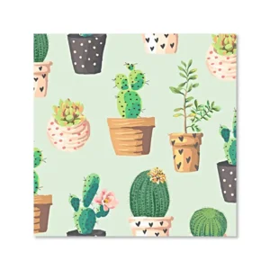 Kaart - Cactussen & vetplanten - Galleria - VB0.3052