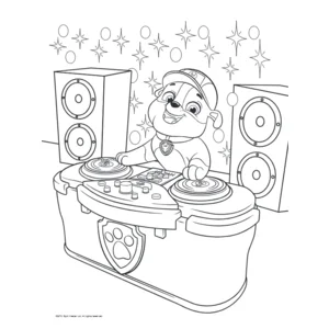 Boek - Kleurboek - Paw patrol