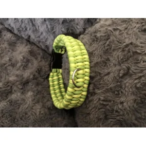 Hondenhalsband Trilobite Green 1