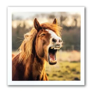 Kaart - Paperclip - Call of the wild - Lachend paard - VB0.0038