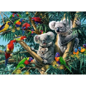 Puzzel - Koala’s in de boom - 500st.